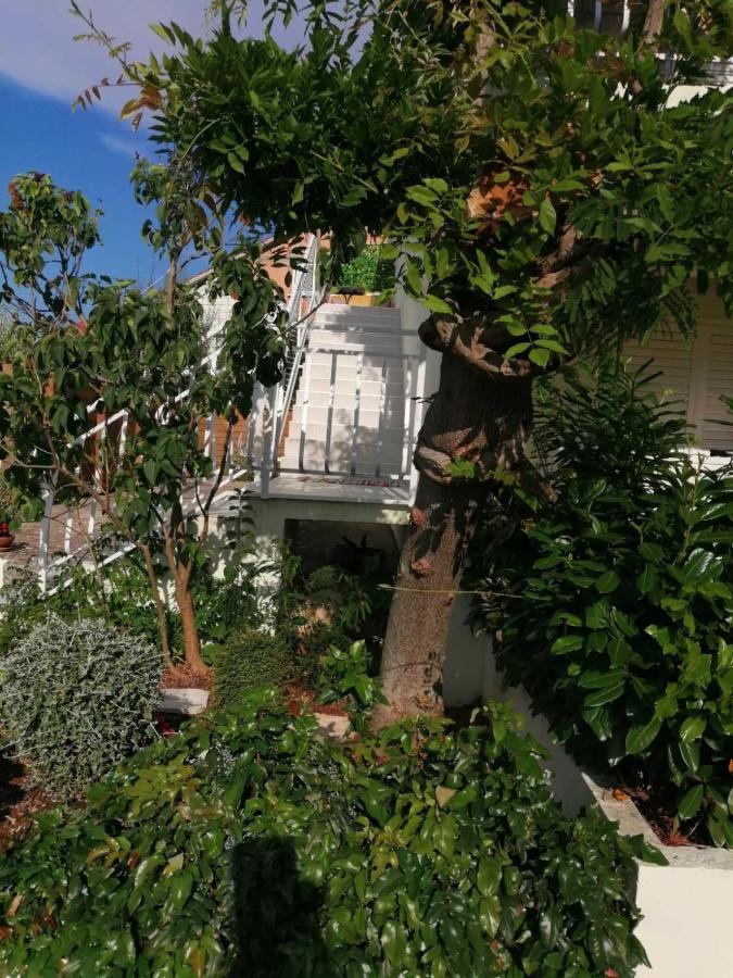Apartman Lucija Korčula Exterior foto