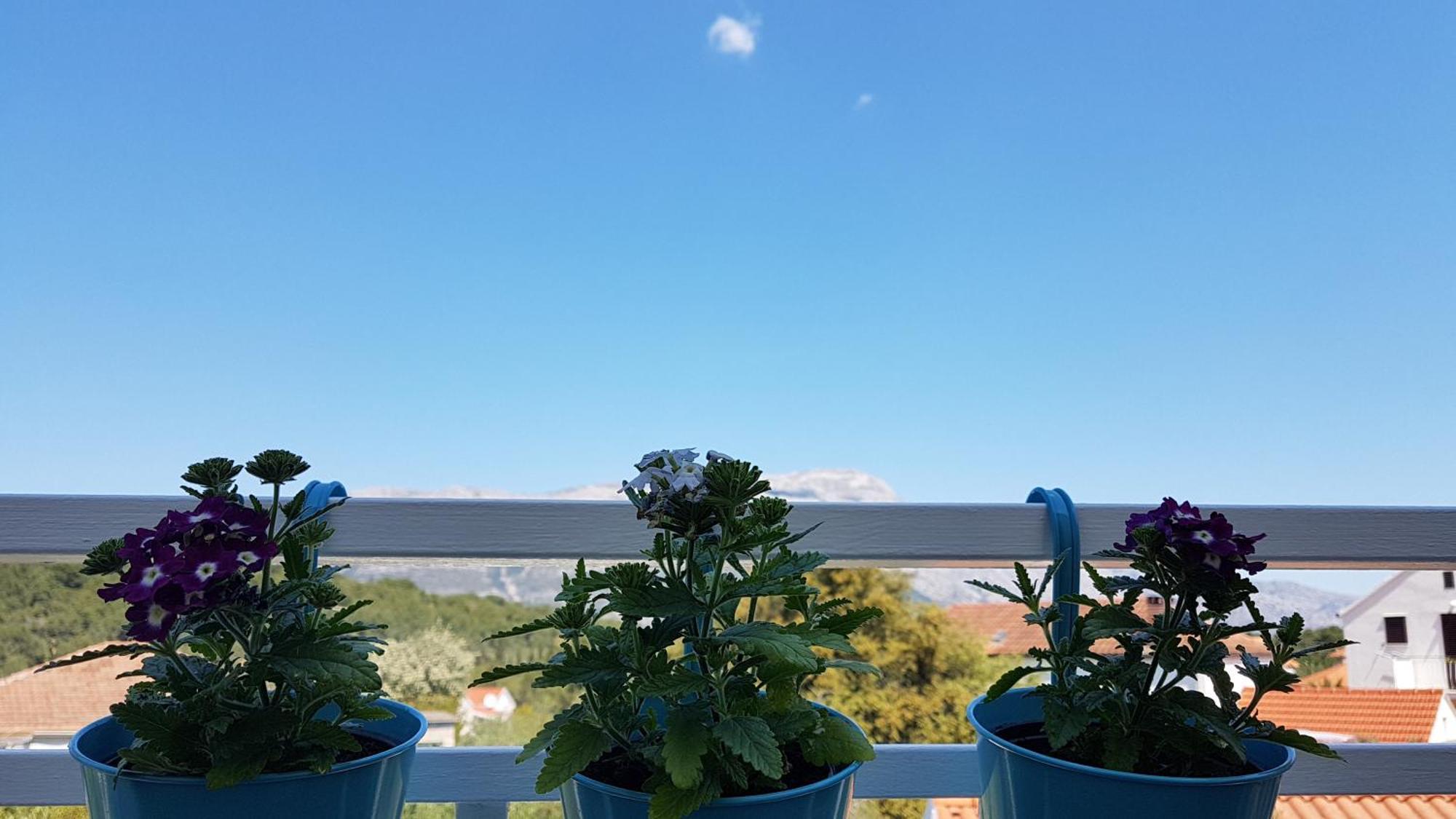 Apartman Lucija Korčula Exterior foto