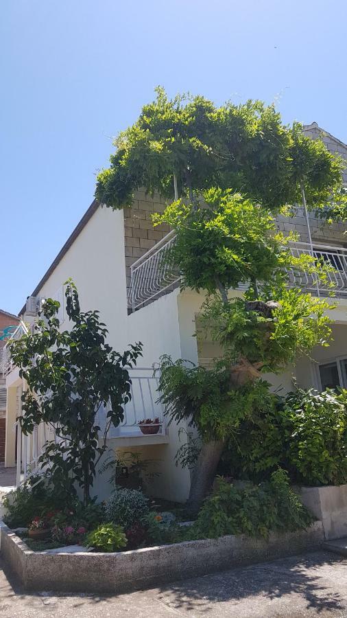 Apartman Lucija Korčula Exterior foto