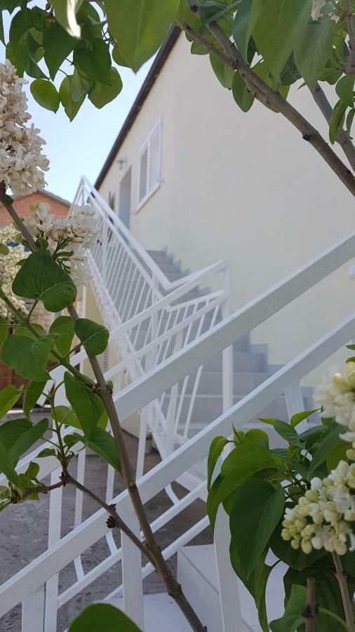 Apartman Lucija Korčula Exterior foto